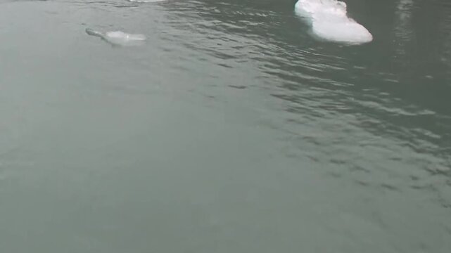 Scattered floating ice spreads across calm green water. The wider view includes surface ripples, with tonal contrast and surface detail remaining clearly visible.
