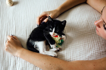 playfitul bonded kittens © Natalie Wheeler