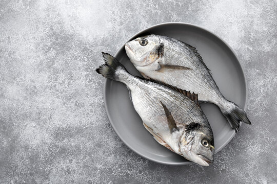 Fish raw dorado sea bream