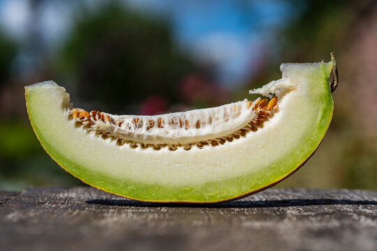 Slice of ripe sweet melon with seeds outdoors. Closeup of fresh organic green galia or honeydew melon slice with seeds on rustic wood table against blurred summer garden backdrop