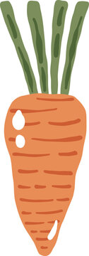 cute orange carrot vegetable food with leaf vector cartoon illustration