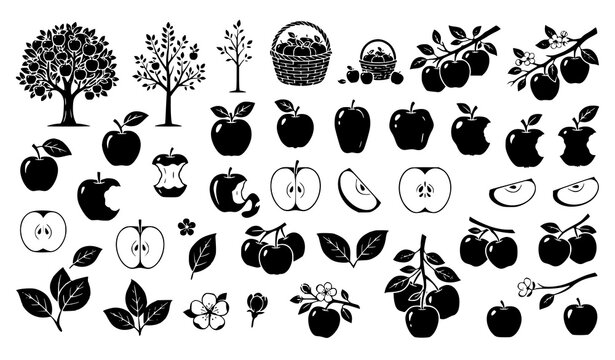 Apple Fruit Silhouette Collection with Whole, Sliced and Harvest Elements