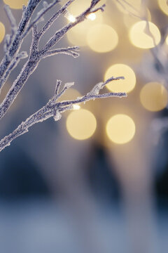 Close-up shot of a tree with decorative string lights shining from behind. vertical frame