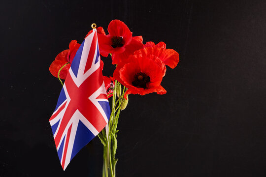 United kingdom flag with red poppies for remembrance day