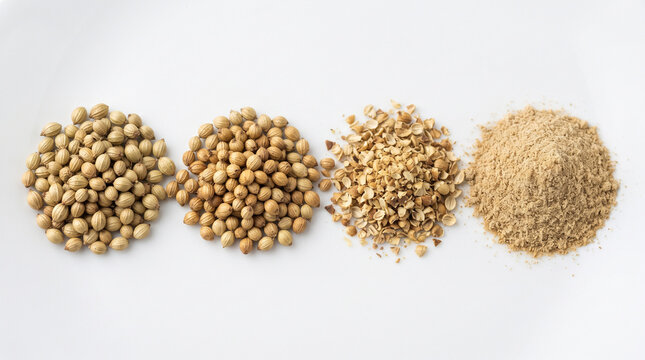 Coriander Seeds Shown in Four Stages from Whole Seeds to Finely Ground Powder