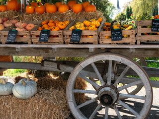 Vintage wooden cart with large spoked wheel filled with pumpkins at an autumn farm market display © Oksana