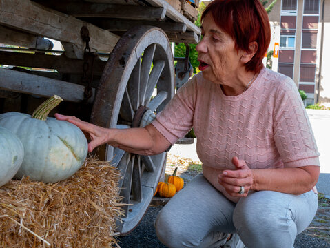 Female shopper squatting down by straw bales to select a unique pastel blue pumpkin at a seasonal farmers market