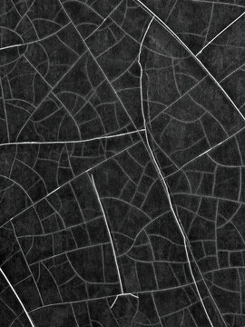 The design features a complex pattern of curved and straight white lines against a dark background, creating an abstract and modern feel 