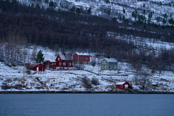 Traditional houses dotting a snowy norway fjord landscape © Kristof