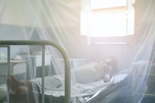 Patient resting in a hospital bed under mosquito netting, illustrating dengue prevention and protection from mosquito-borne disease in clinical care