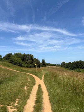 un chemin &agrave; travers champs