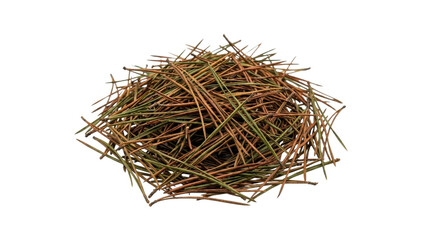 Pile of dried pine needles on a white background, natural texture © Varvara