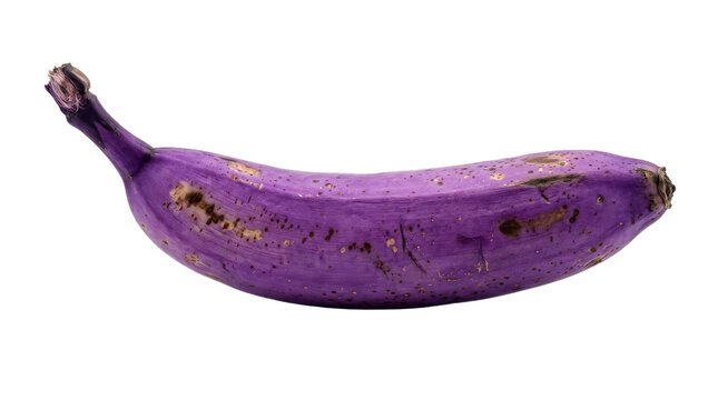 Unusual purple banana with brown spots against a stark white background