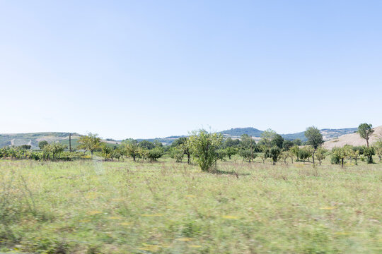 landscape with trees and hills in Tuscany italy