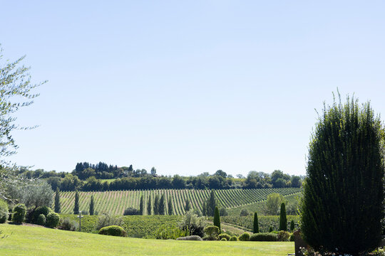 landscape with trees