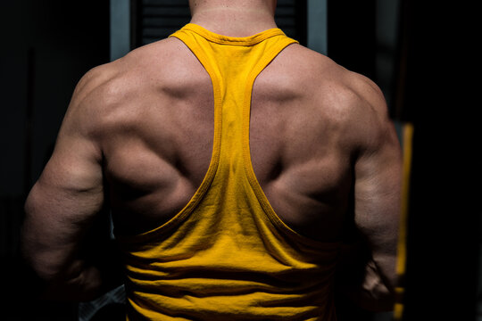 male bodybuilder flexing his back