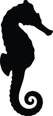 Seahorse silhouette vector. Sea horse vector icon © Rokin
