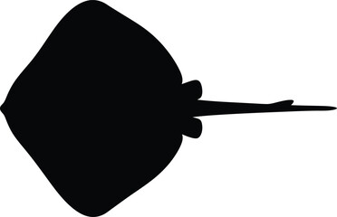Stingray silhouette vector. Ray fish vector icon © Rokin