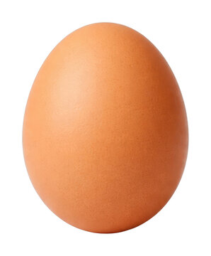 PNG Single brown egg isolated white