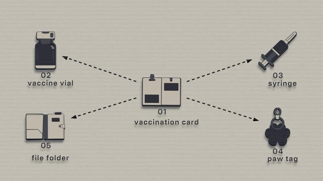 A veterinary clinic opens the immunization card, prepares the vial and syringe, then files the new entry with the animal tag. Flat 3D style with smooth matte surfaces; objects numbered and labelled in
