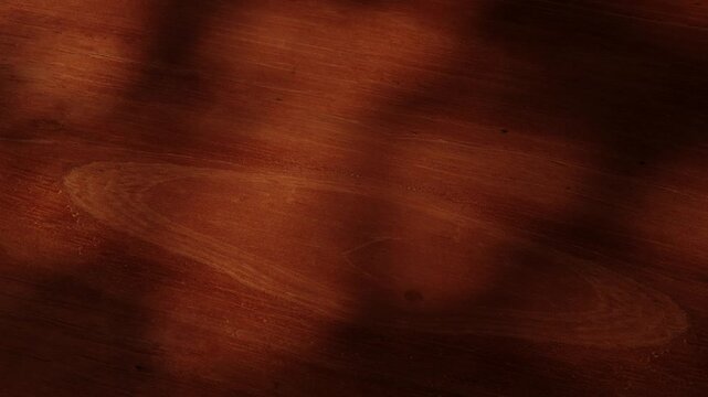 3D Animation of a wooden surface of cedar wood covered by leaf-light patterns