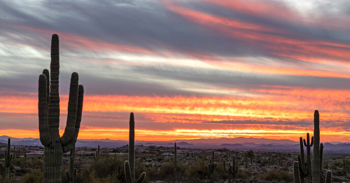 Ultra Wide Ratio View Of Stunning Desert Sunset Landscape In North Scottsdale AZ