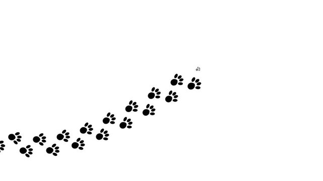 Animal paw prints walking path trail isolated on white background