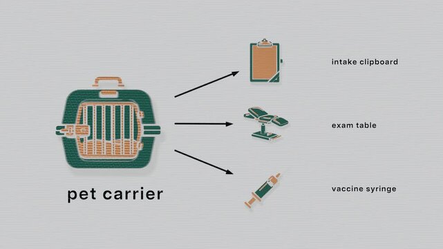 Veterinary intake advances from carrier arrival through examination and vaccination, producing an immunization record, discharge documentation, and aftercare. Flat 3D style printed from two plates