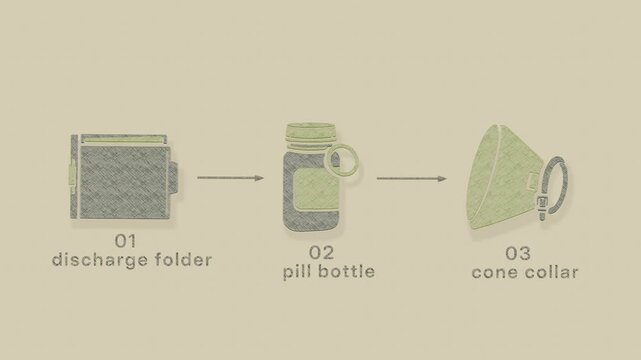 Veterinary discharge preparation sequences the release folder, prescribed medicine, and protective cone collar for a patient&rsquo;s transfer home. Flat 3D style with a graphite pencil texture; objects