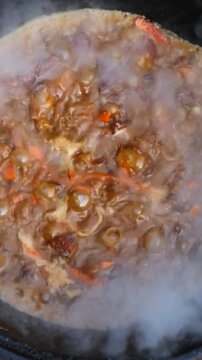 Steaming stew bubbles in black pan over heat. Meat and vegetables simmer in thick broth as foam and vapor rise around surface, creating rich texture and active cooking motion during cooking.