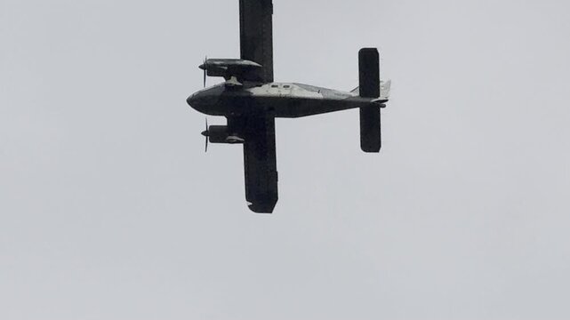 Fliegende Wesen