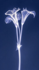 Obraz premium Glowing lilies on a dark blue background, perfect for mobile wallpaper.