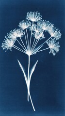 Obraz premium Elegant cyanotype floral design, perfect for a stylish mobile wallpaper.