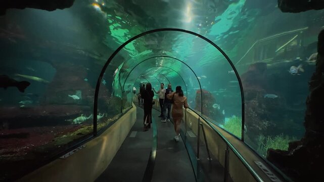 Visitors walk along a moving pathway through a transparent underwater glass tunnel, observing swimming fish and diverse marine life inside a large, captivating modern public oceanarium 