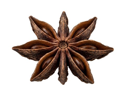 Star anise spice arranged in symmetrical pattern on white background, commonly used in cooking, baking, and culinary applications