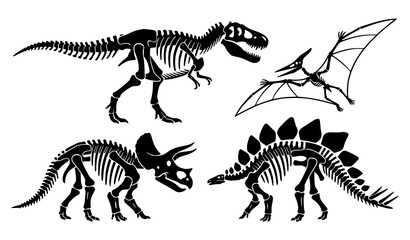 Prehistoric Dinosaur Fossil Skeleton Collection T Rex Triceratops Stegosaurus Pterodactyl © MstDulali