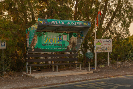 August 28, 2026, Paphos, Cyprus. Bus Stop Advertising Free Transfer to Pafos Zoo in Paphos, Cyprus