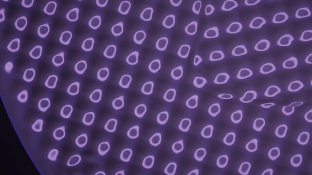 Faraday Wave Instability Subharmonic Square Lattice on Vibrating Liquid Metal Seamless Loop in soft violet tones