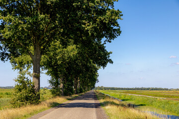 Obraz premium Rural Dutch landscape with agricultural fields and canal, Countryside paved path with trees shading narrow road alongside farmland and drainage ditch, The border of Friesland and Drenthe, Netherlands.