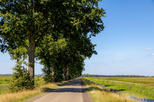 Rural Dutch landscape with agricultural fields and canal, Countryside paved path with trees shading narrow road alongside farmland and drainage ditch, The border of Friesland and Drenthe, Netherlands.