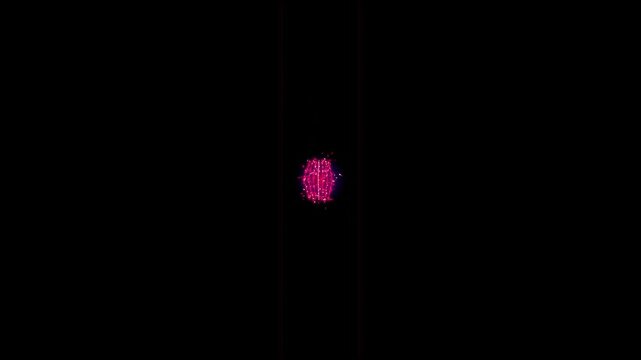 Abstract Pink Particle Burst Explosion on Black Background - Motion Graphics