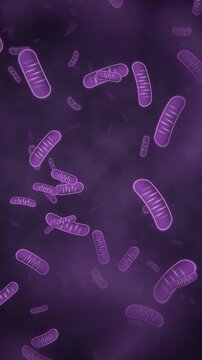 Mitochondria Organelles in Cell Cytoplasm, Slow Camera Roll Rotating With Depth Parallax, Microscope Seamless Loop in subtle violet tones vertical 9:16