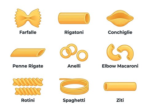 Collection of various types of italian pasta shapes including farfalle rigatoni conchiglie penne anelli macaroni rotini spaghetti ziti