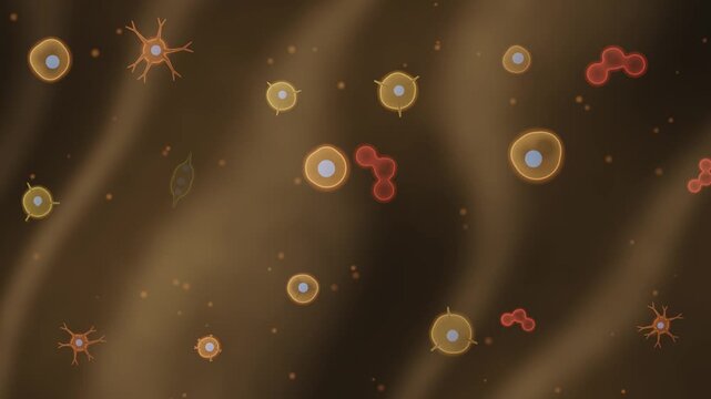 Stem Cell Differentiation Microscopy Seamless Loop With Branching Neural Muscle And Blood Cell Lineages in deep amber tones