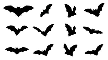 Obraz premium Set of black bat silhouettes in various flying poses isolated on white background.