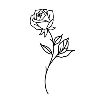 A clean and elegant black line art illustration of a blooming rose with a stem and leaves