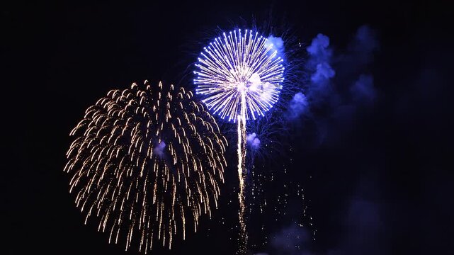 Elegant colorful fireworks blooming in night sky over black background