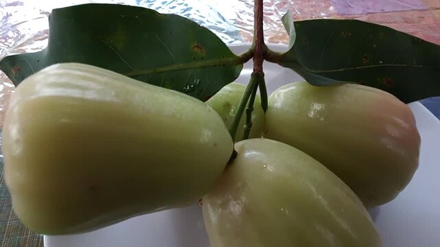 Fresh organic Delhi honey guava fruit