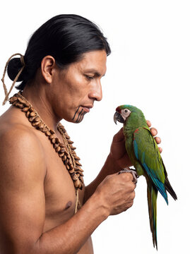 indigenous man with traditional face markings holding a green parrot isolated on white background