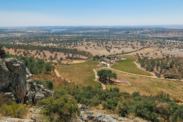 Obraz premium Panoramic landscape of the Alentejo region in Portugal, showing vineyards, dry countryside, scattered cork and olive trees, rural farmland and a vast Mediterranean landscape under a clear blue sky.